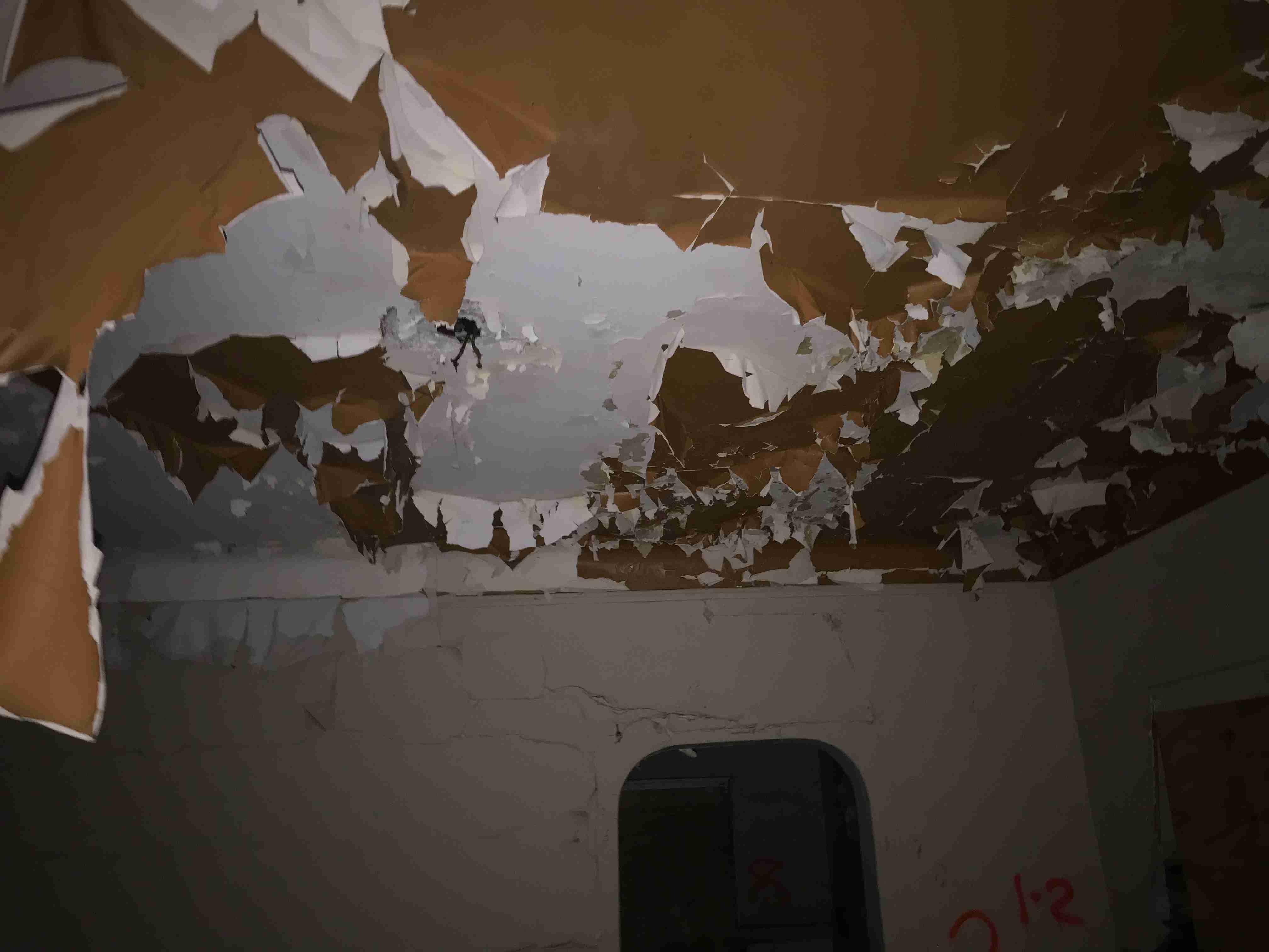 Photo Sep 09, 10 18 31 AM.jpg